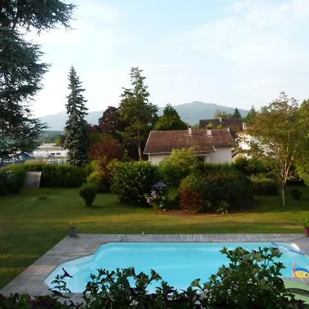 Ancolie Des Pyrenees *